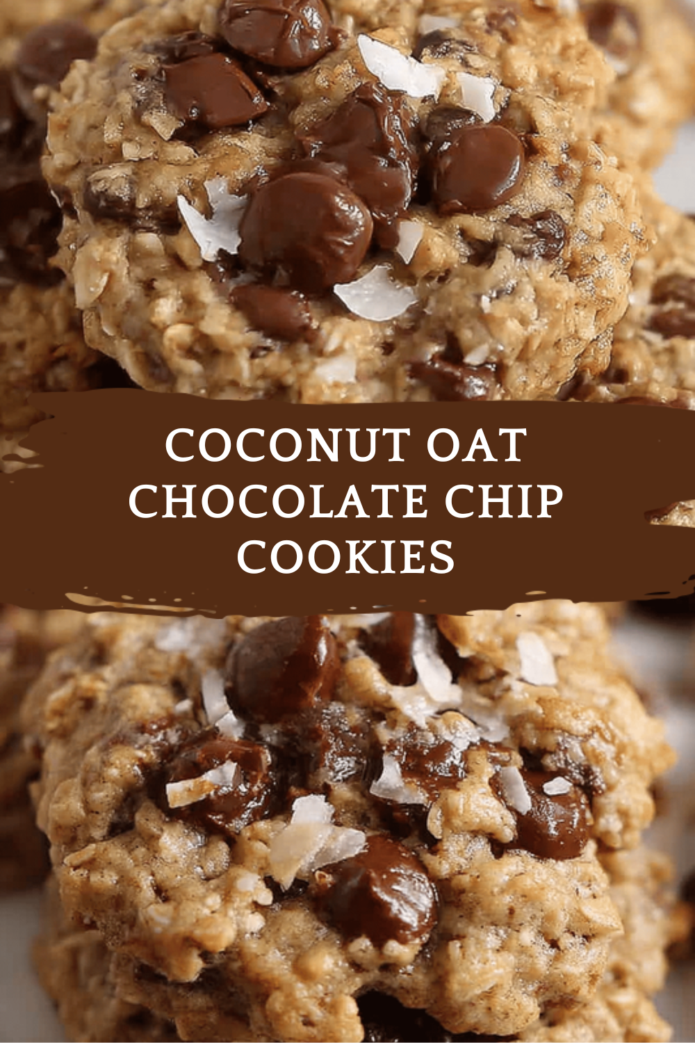 Coconut Oat Chocolate Chip Cookies