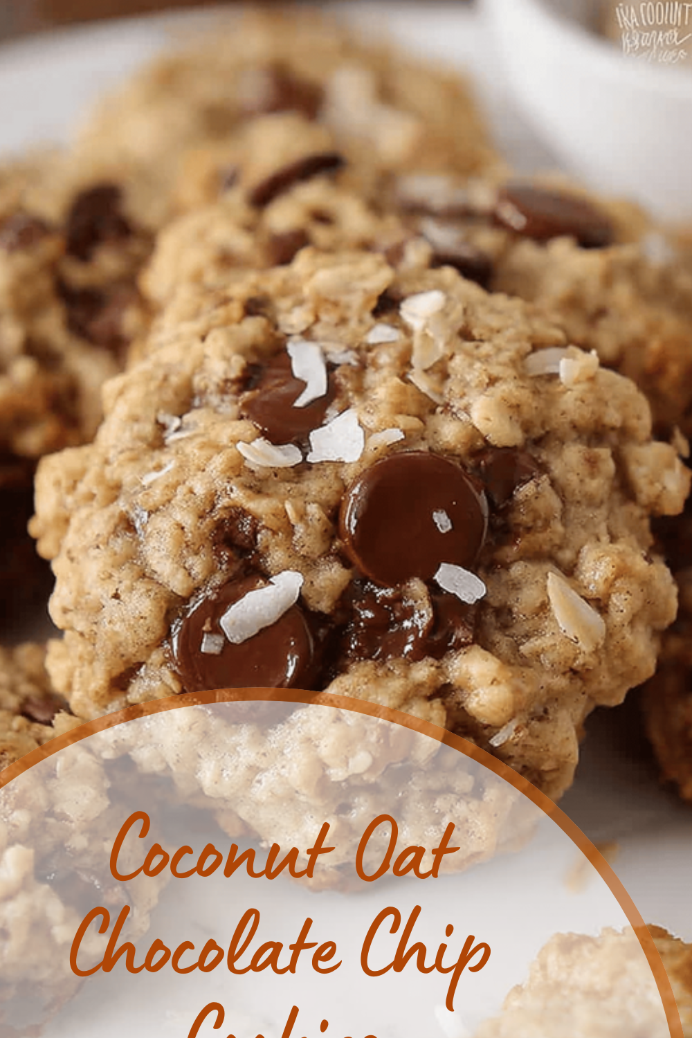 Coconut Oat Chocolate Chip Cookies