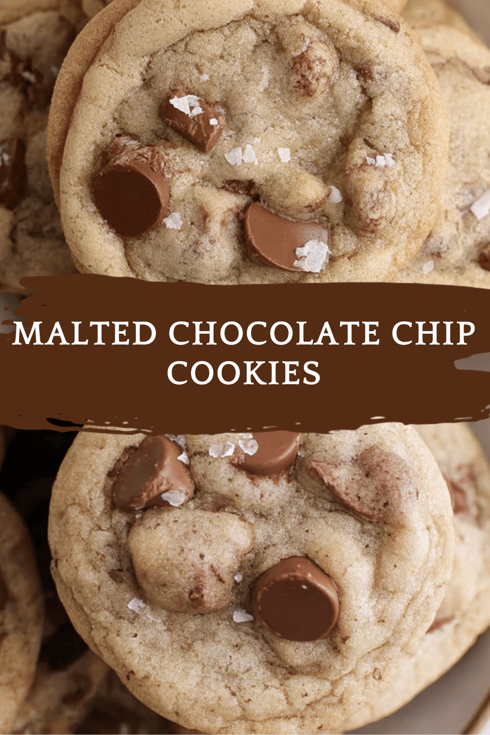 Malted Chocolate Chip Cookies
