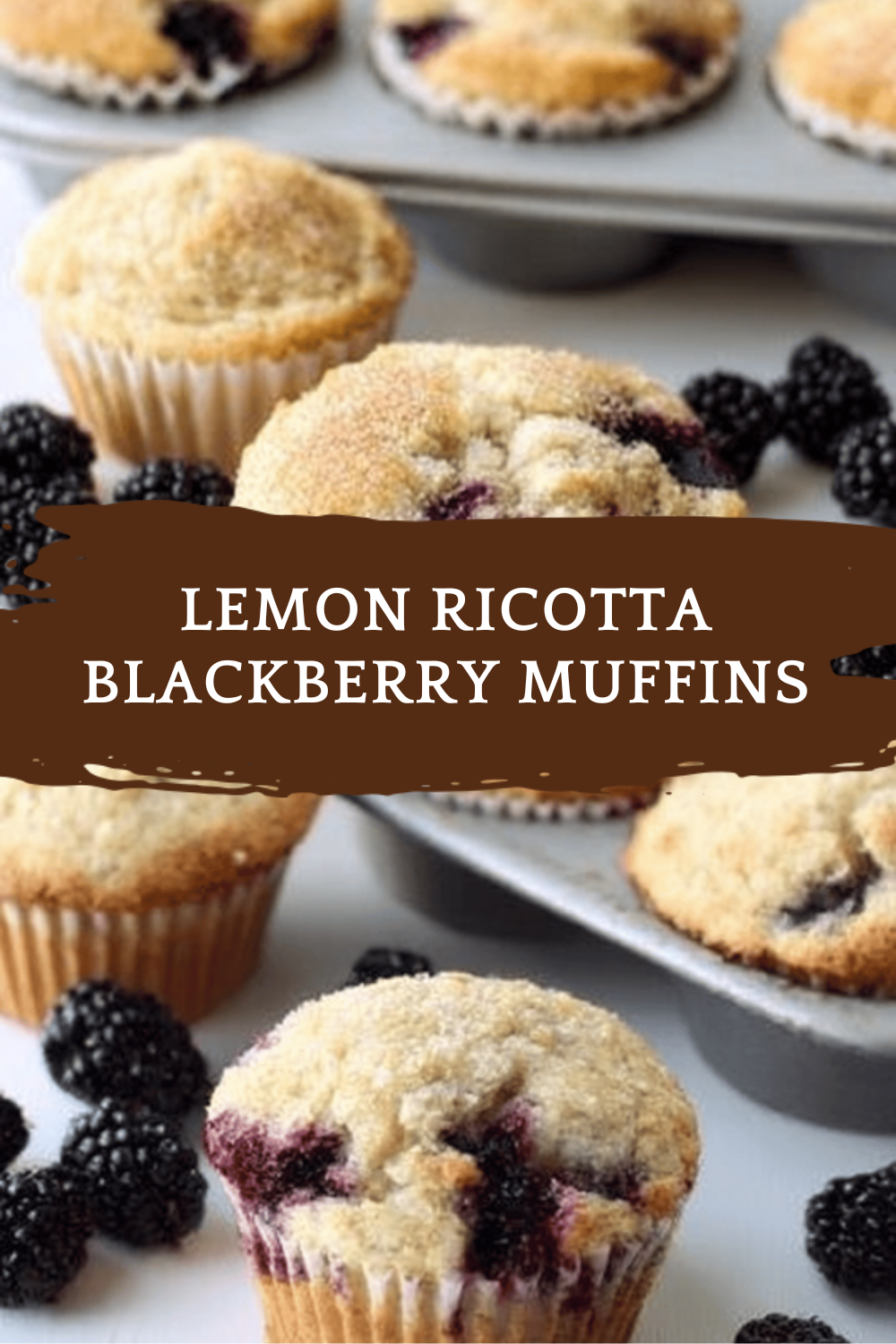 Lemon Ricotta Blackberry Muffins