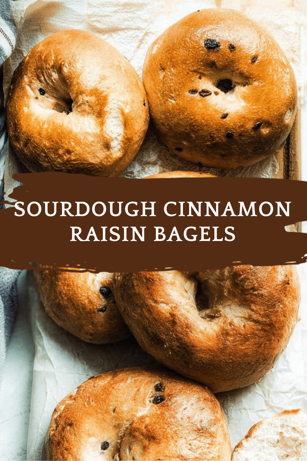 Sourdough Cinnamon Raisin Bagels Recipe For Soft, Flavorful Breakfast 6 Sourdough Cinnamon Raisin Bagels