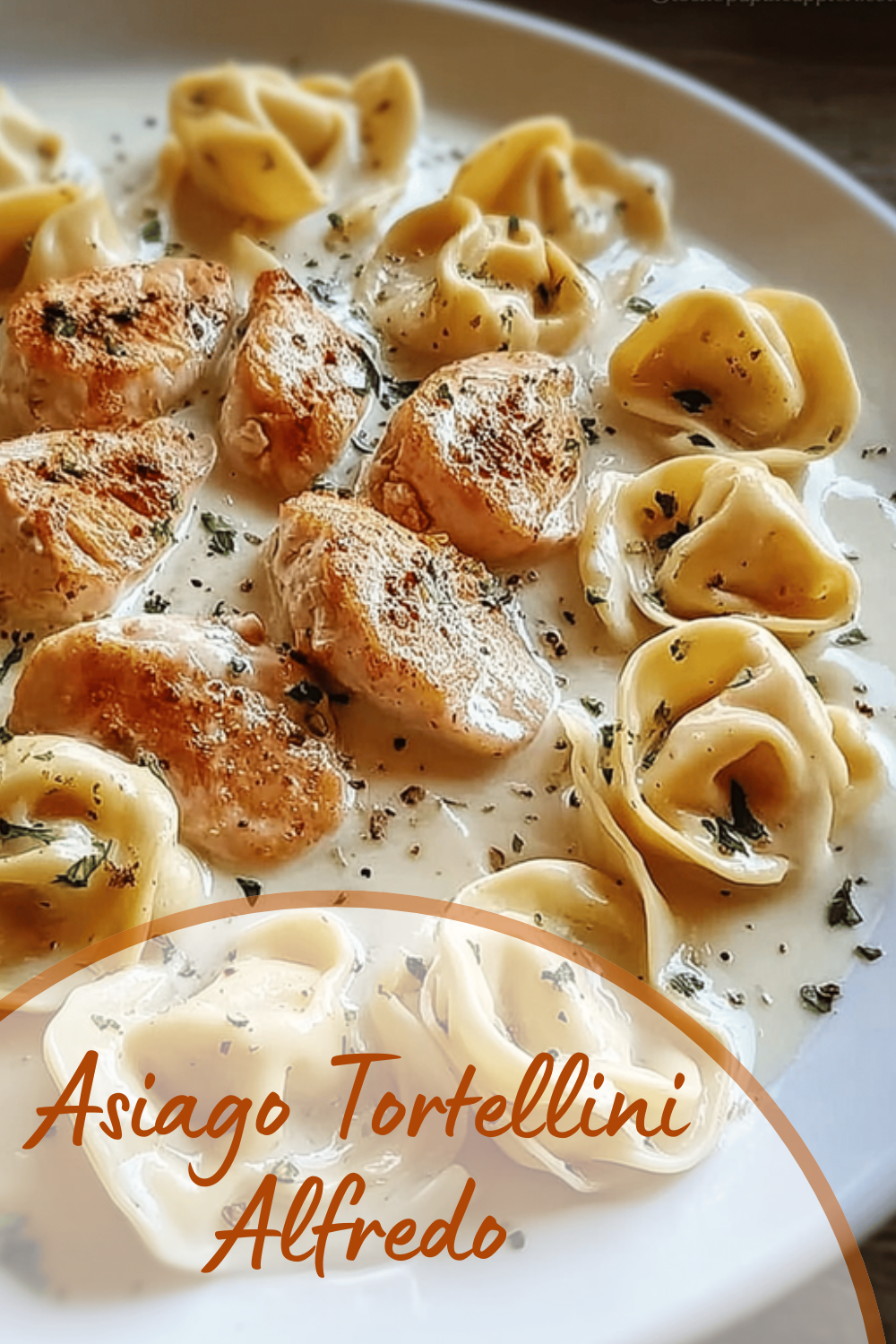 Asiago Tortellini Alfredo