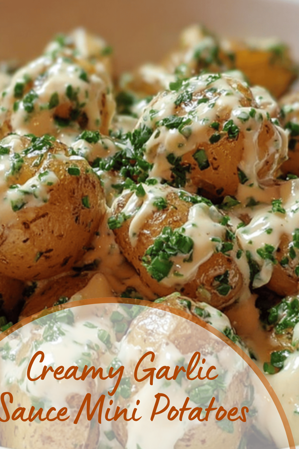 Creamy Garlic Sauce Mini Potatoes