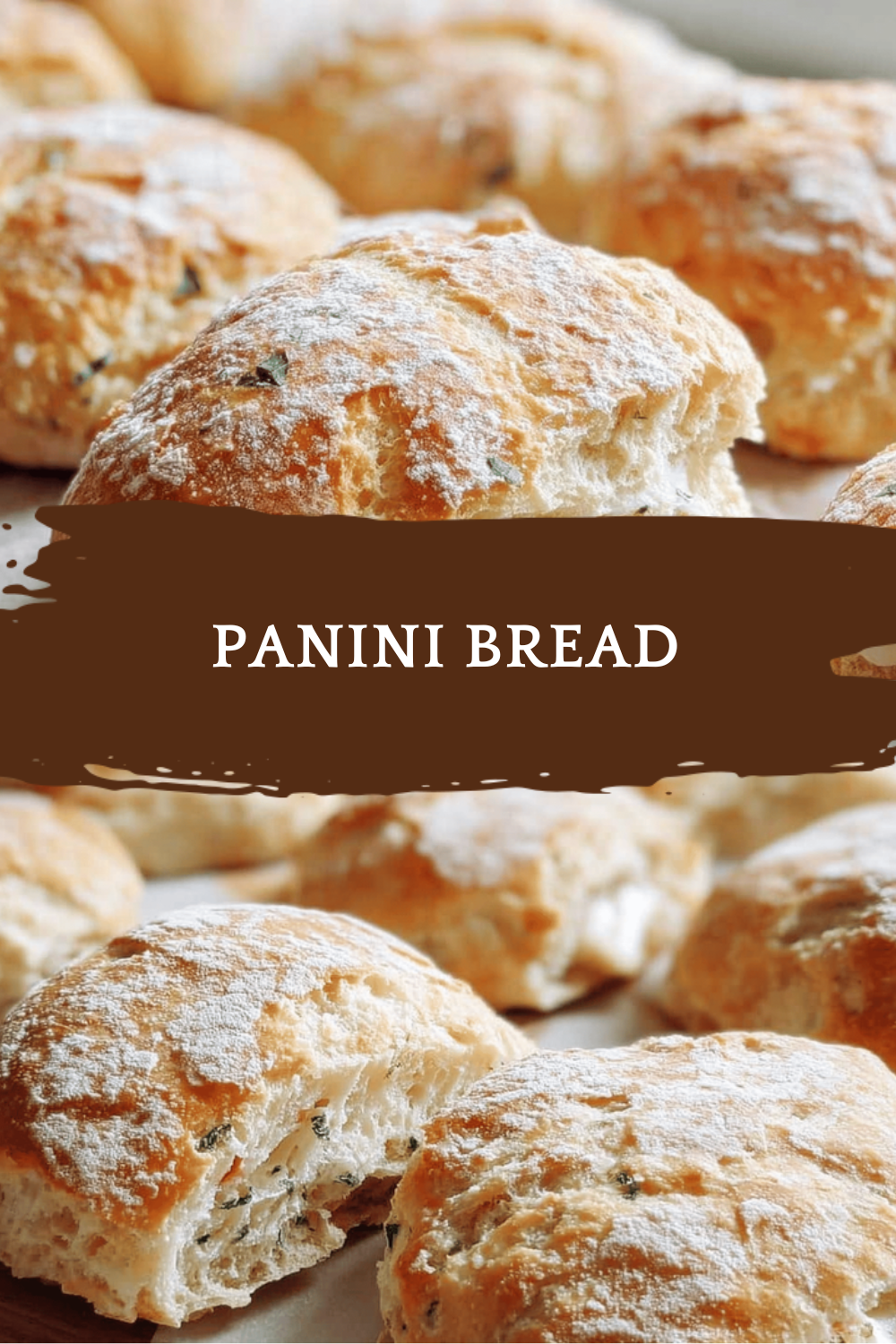 Panini Bread