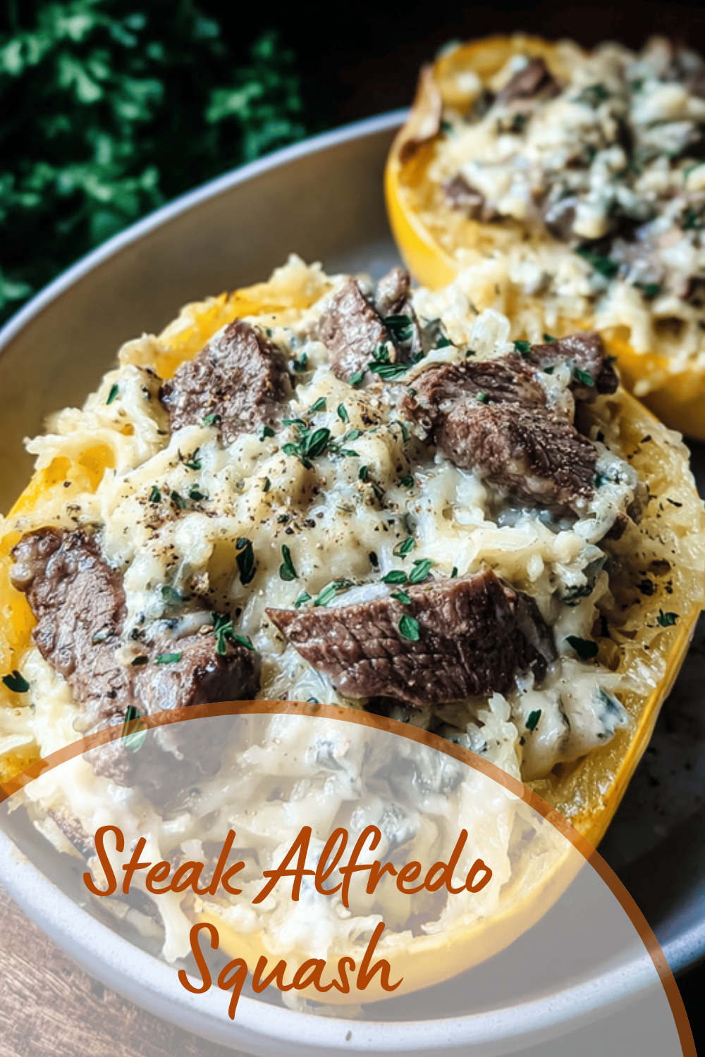 Steak Alfredo Squash