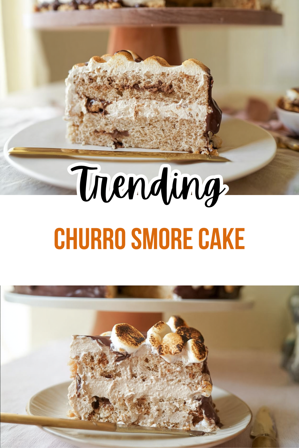 Churro Smore Cake