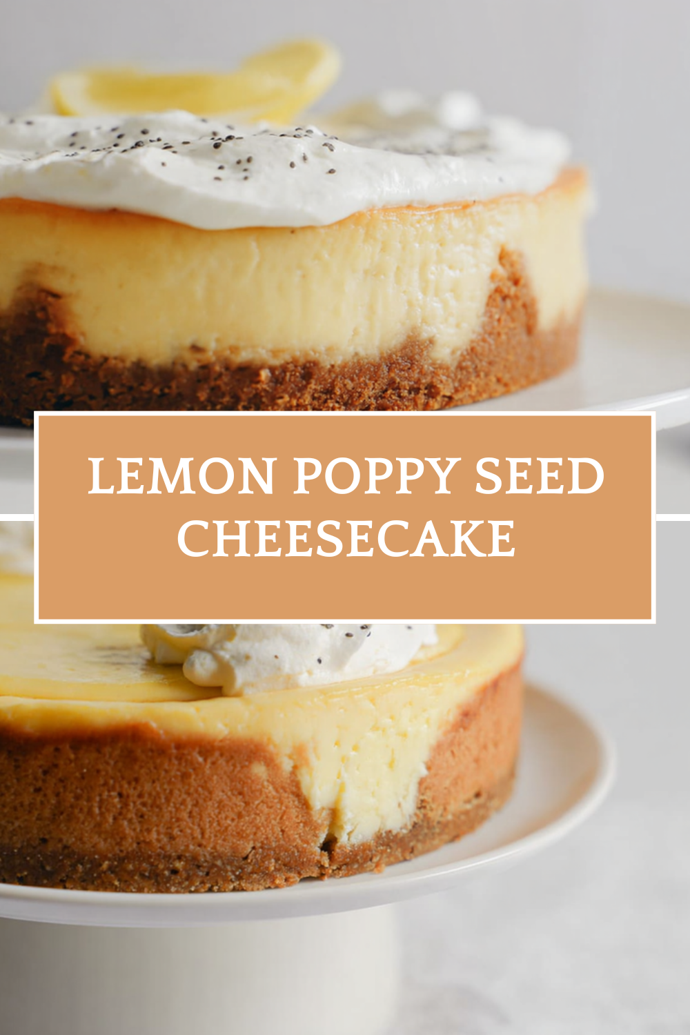 Lemon Poppy Seed Cheesecake