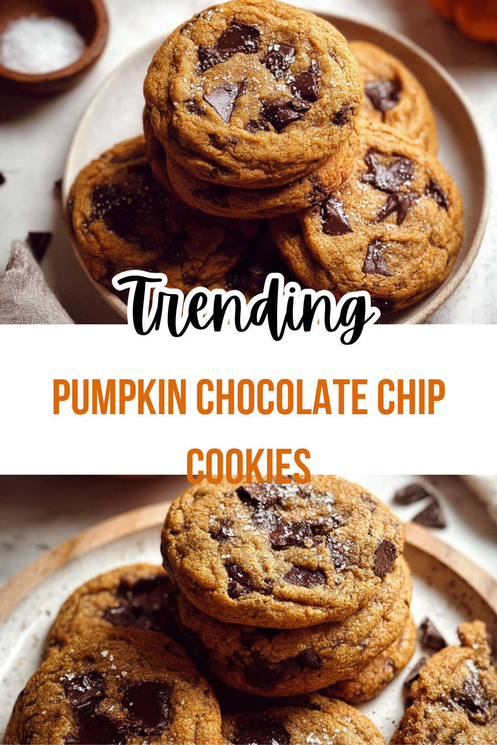 Pumpkin Chocolate Chip Cookies