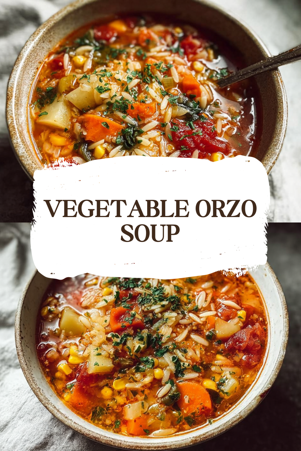Vegetable Orzo Soup