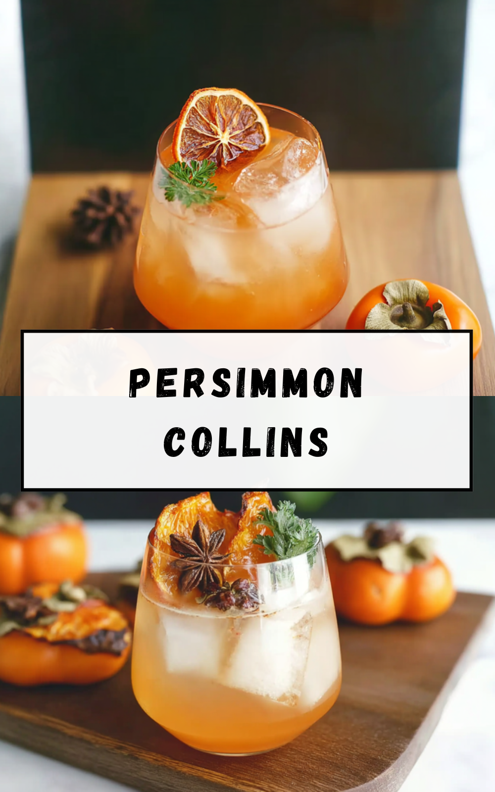 Persimmon Collins