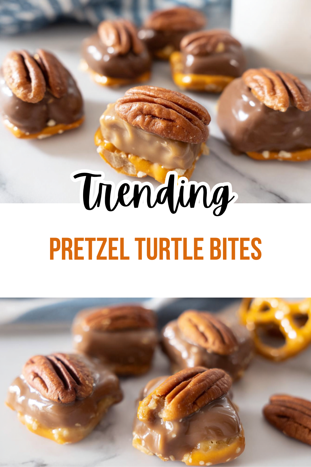 Pretzel Turtle Bites