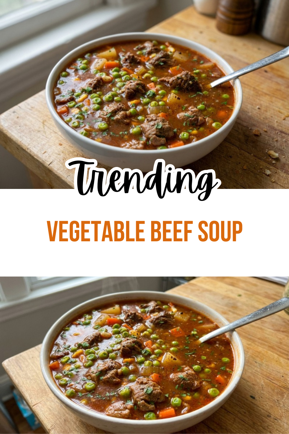 Vegetable Beef Soup