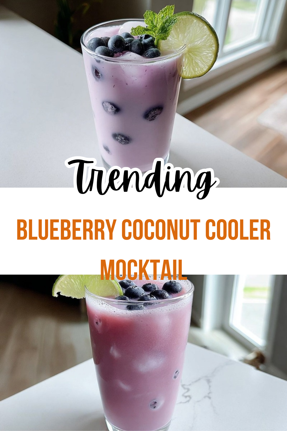 Blueberry Coconut Cooler Mocktail