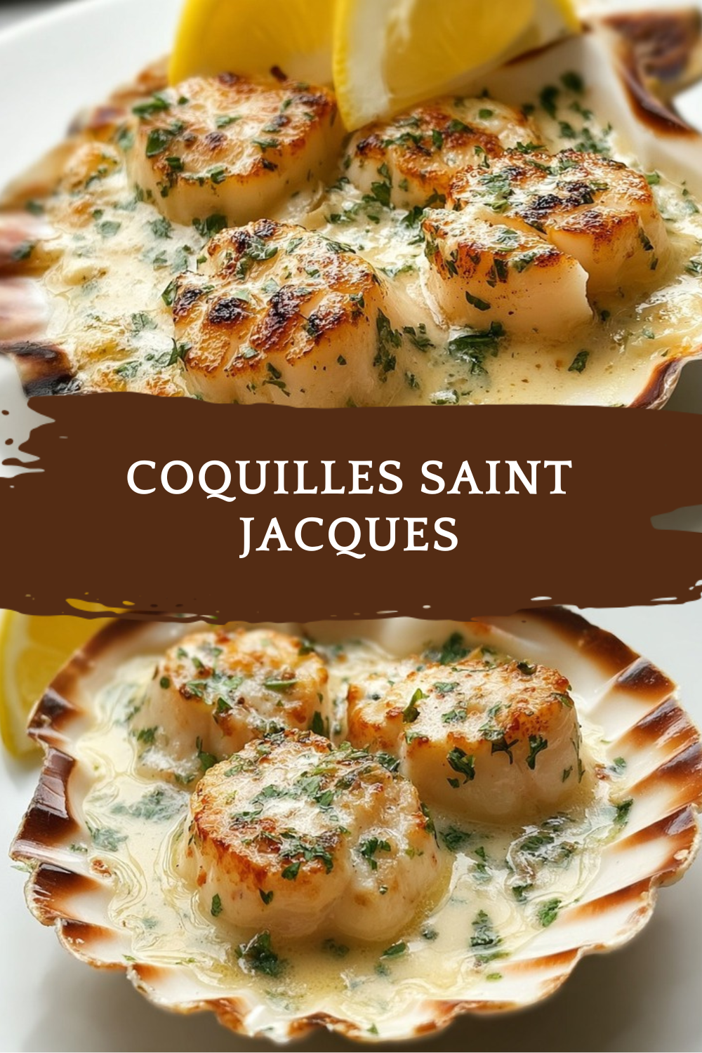 Coquilles Saint Jacques