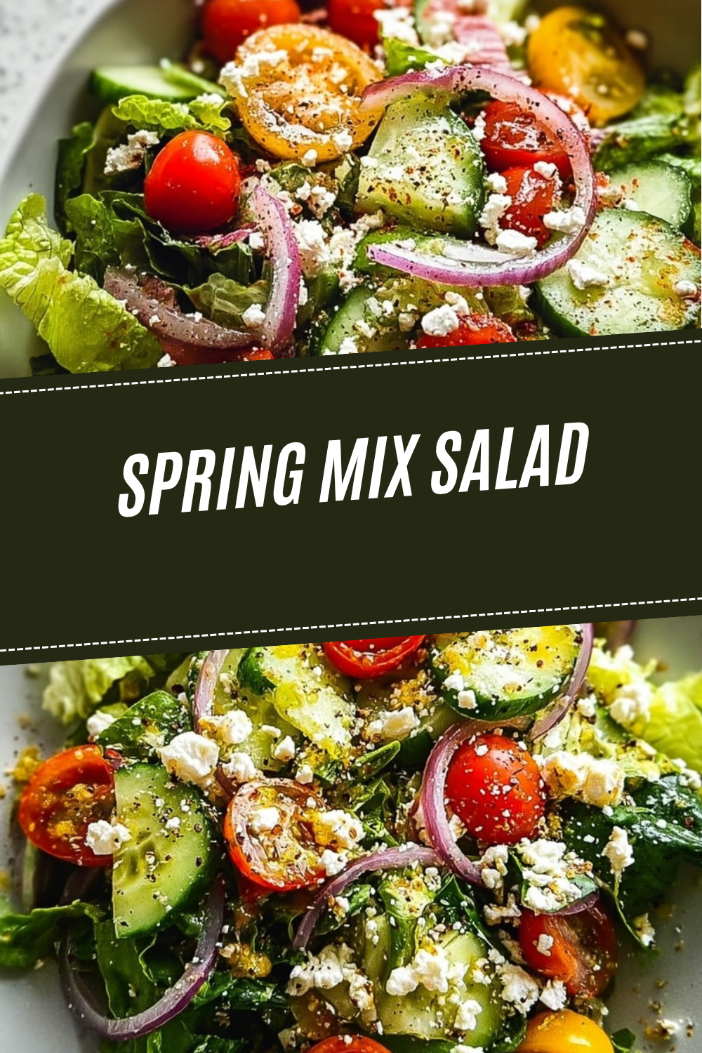Spring Mix Salad Recipe 7 Spring Mix Salad